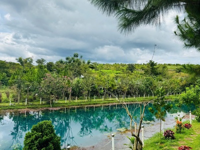 Chỉ còn 3 lô view đồi hồ đồi chè sổ sẳn sang tên công chứng ngay 2