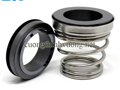 Cường Thịnh Vương - Nhà Cung Cấp Phớt Máy Bơm Uy Tín 0