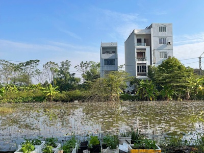 60m2 đất phân lô đồng ông đan phượng giá chỉ 13xtr/m 3