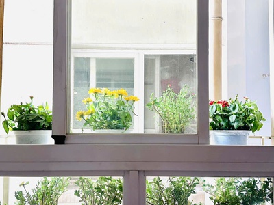 Chủ đầu tư cần bán gấp căn hộ cao cấp an phú phường 11, q6 1