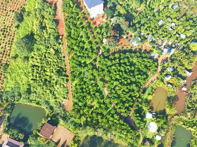 Bán nhà gỗ nghỉ dưỡng đường 21 lộc tân, giáp kiwiki phường 2, tp. bảo lộc 1