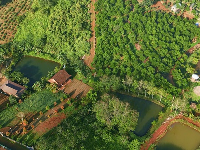 Bán nhà gỗ nghỉ dưỡng đường 21 lộc tân, giáp kiwiki phường 2, tp. bảo lộc 0