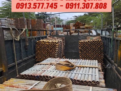 Cho Thuê Cây Chống Quy Nhơn 3