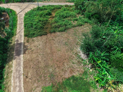 Bán nhanh đất nền 525m2 có hơn 200m2 thổ cư giáp suối lớn tại Cẩm Mỹ. 3