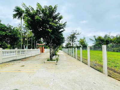 Cần bán lô đất sát chợ Lạc Thành gần 190m2 chỉ 760 Triệu giá rẻ sổ đỏ riêng đầy đủ 2