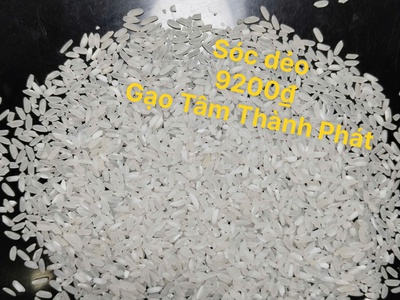 Gạo Sóc Dẻo - Gạo từ thiện - Gạo số lượng lớn - TTP 0