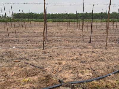 Sở hữu ngay lô đất đẹp diện tích 1000m2 1