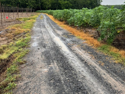 Sở hữu ngay lô đất đẹp diện tích 1000m2 0