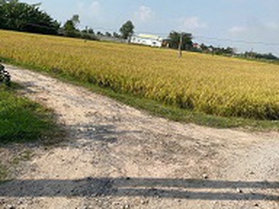 Chính chủ cần bán gấp đất 3 mặt tiền đường hồ chí minh, huyện đức hoà   giá tốt 2