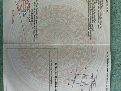 Bông trang 20m mt nhựa 100tc giá 130tr/ m tl 2