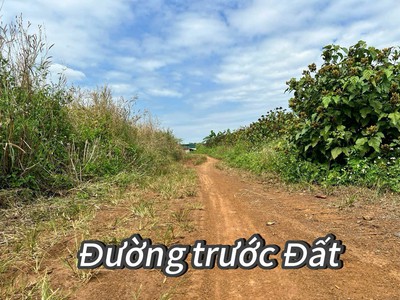 Đất thành phố bmt dt 7182m2 giáp sông serepok, đường oto tới đất, cách bmt chỉ 13km phù hợp làm 1