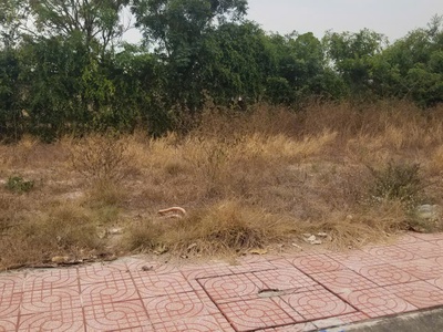 Bán đất nền dự án đã sổ đỏ riêng tại p. bình minh tp. tây ninh cũ 0