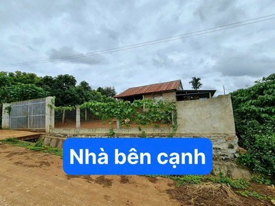 Ea tosh- krông năng- đắk lắk dt 8 48m sẵn 60m2 thổ mặt tiền đường bê tông kdc bàn cờ thông các 4