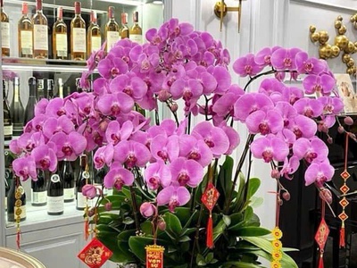 Bán biệt thự khu đô thị mễ trì thượng. dt 130m x 4 tầng, mt 7m. sđcc. giá 36 tỷ. lh: 0964769634 3