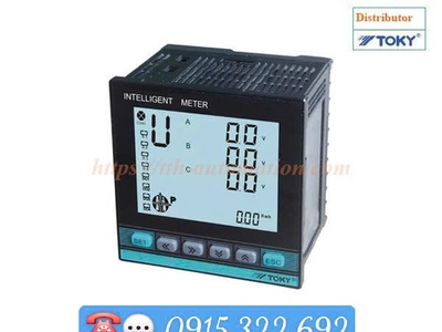 Đồng hồ đo công suất RS485 D311A-9-3WR2S28B Toky 0