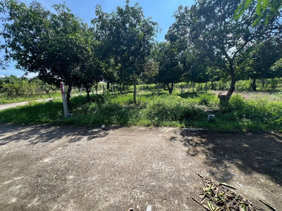 Đất thổ cư Suối Tiên - Diên Khánh   nay là Suối Hiệp 2