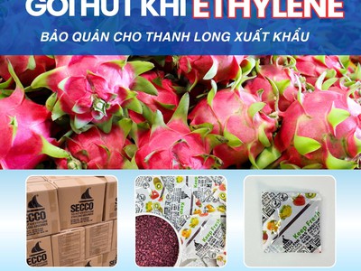 Bảo Quản Trái Cây Với Gói Hút Khí Ethylene Keep Fresh Secco 0