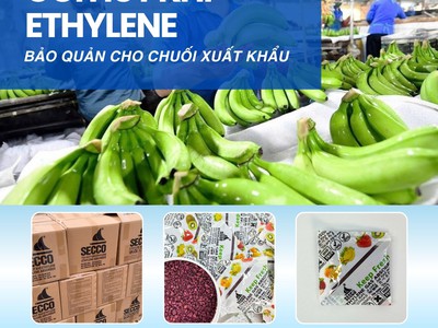 Bảo Quản Trái Cây Với Gói Hút Khí Ethylene Keep Fresh Secco 1