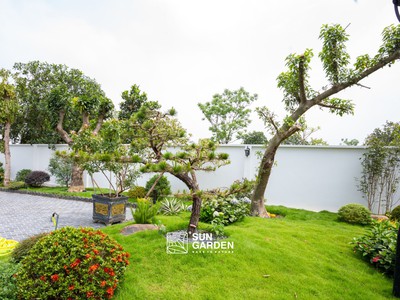 Thiết kế cảnh quan cây xanh Giải pháp tạo không gian sống xanh 0