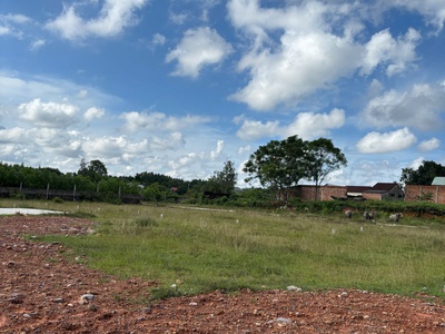 Da Le Land   Golden Chance For Smart Buyers 3