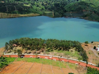 Đất Đồi 598M CLN View Toàn Hồ Ngọc Địa Thế Đẹp 3