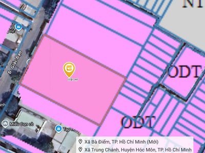 Bán gấp nhà vườn mặt tiền giác đạo, bà điểm hóc môn- 1000m2 chỉ 28 tỷ 4