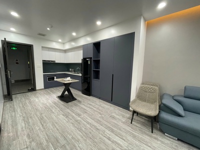 Cho thuê căn hộ hiện đại 1 ngủ 50m2 Waterfront City 4