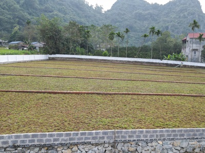 ⚖ 6 lô đất sổ đỏ riêng- pháp lý rõ ràng tại Cư Yên, Lương Sơn, Hoà Bình 3