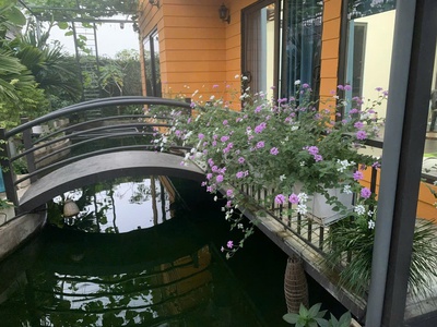 Chuyển nhượng nhà vườn 400m khu nghỉ dưỡng 1,5ha tại quốc oai hà nội 1