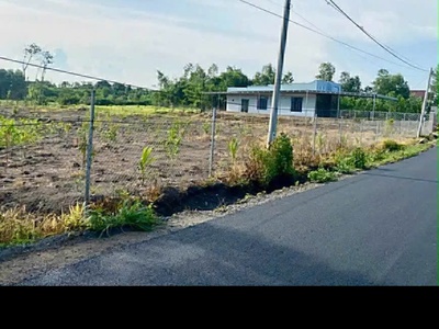 Bán 3600mv 100tc 66m mt nhựa view suối sẳn nhà vườn trái cây 1