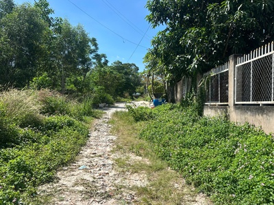 Bán đất thổ cư hẻm thượng hiền - tân an - lagi giá gốc 3