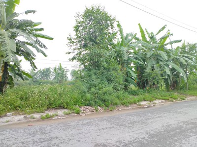 Bán Đất Gấp   Mua Là LờiI, Để Lâu Là Giaù 0