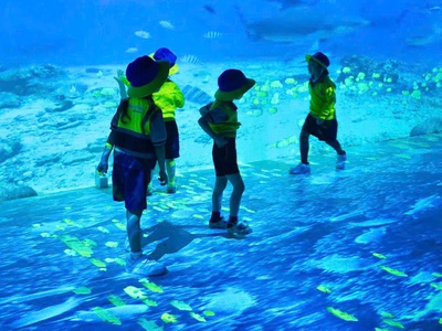 Bán Khu Du Lịch Thế Giới Mèo Ú 1ha7 doanh thu 500tr/th 0