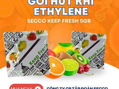 Gói Hút Khí Ethylene Secco Chuyên Bảo quản trái cây nông sản 1
