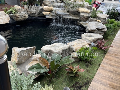 Xây dựng Thi công hồ cá Koi Nhật uy tín ở HCM, Đồng Nai 0