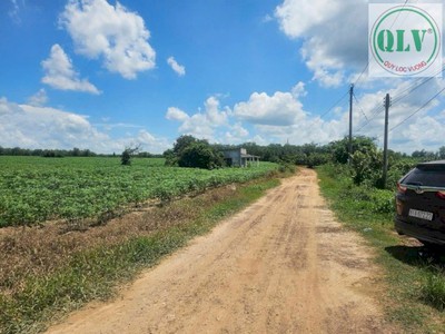 Bán 2 lô đất quy hoạch SKC   LONG TÂN, DẦU TIẾNG, BD 2