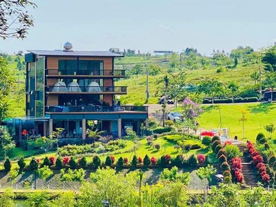 Đất Nền Nghỉ Dưỡng VIEW Đồi Chè Tâm Châu Giá Bán Chỉ 1Tỷ250 0