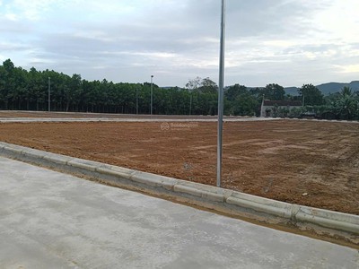 Tri ân 1 chỉ vàng - Chính chủ - Thạch Thành, Thanh Hóa - Chỉ hơn 100tr - Bao luôn phí sổ 6