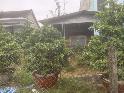 Lô đất mặt tiền nguyễn tất thành hội an 100m đẹp, gần phố cổ, chỉ 4,3ty 0