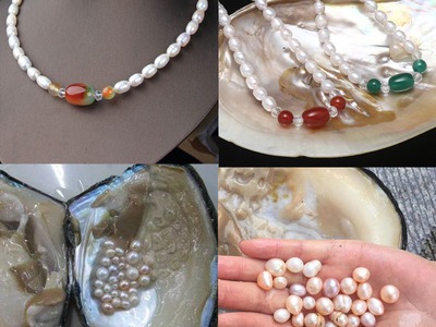 Địa chỉ bán quà tặng cho sếp lớn tuổi cực ý nghĩa giá chỉ từ 200k giao hàng Var:TinhQuan 2