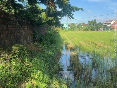 Chủ kẹt tiền bán tài sản tại tx điện bàn giá rẻ 1.5 ty thương lượng 1