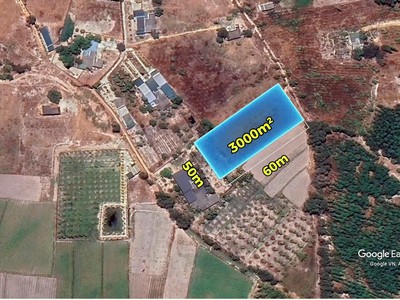 Bán 3000m2 đất gần biển cam bình, lagi giá rẻ nhất 1.5 tỷ 4