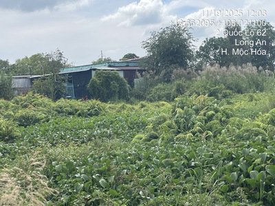 Bán đất mặt tiền ql 62, xã tân lập, mộc hóa, long an. sổ đỏ chính chủ 3