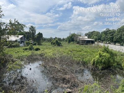 Bán đất mặt tiền ql 62, xã tân lập, mộc hóa, long an. sổ đỏ chính chủ 4