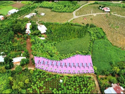 E cần bán sỉ lốc xuân sơn giá đầu tư . 15 ngày nữa có sổ . e cho cọc 40 ngày công chứng ạ 0