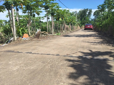 E cần bán sỉ lốc xuân sơn giá đầu tư . 15 ngày nữa có sổ . e cho cọc 40 ngày công chứng ạ 2