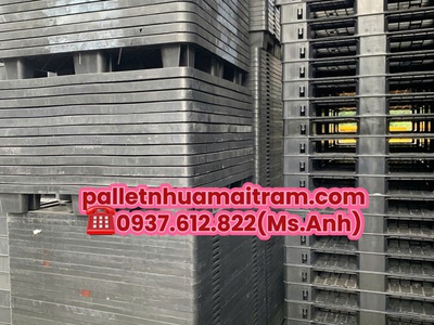 Thanh Lý Pallet Nhựa Chất Lượng Cao   Giá Siêu Hạt Dẻ Tại Tây Ninh  6