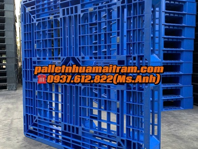Thanh Lý Pallet Nhựa Chất Lượng Cao Giá Siêu Hạt Dẻ Tại Tây Ninh 8
