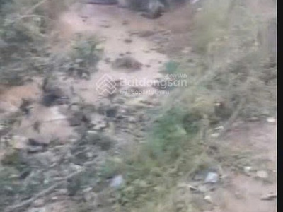 Bán đất suối hồ sapa - view suối ôm núi có sổ hồng ô tô vào tận nơi. 1