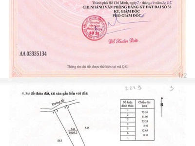 Chủ bán 2 sổ 2000mv 160tr 2 mt nhựa trước sau 1